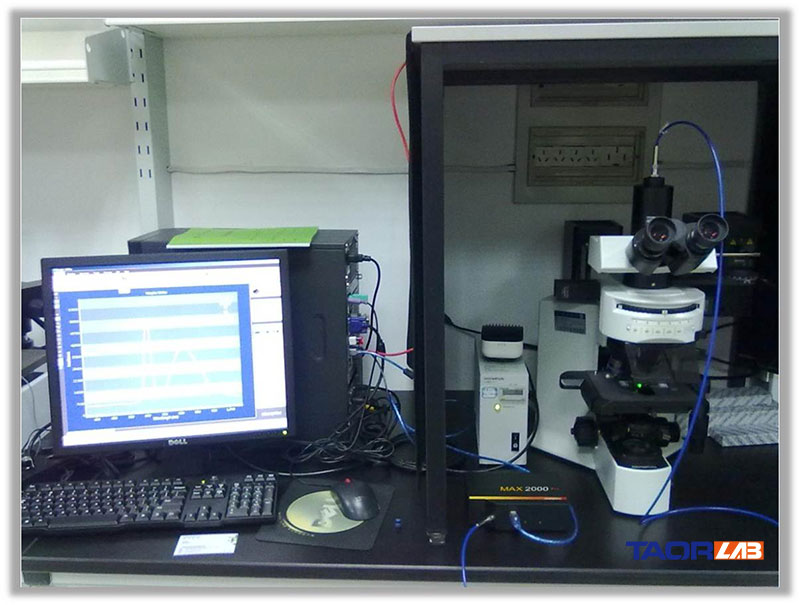 fiber spectrometer